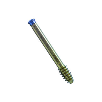 SHS / SCH Screw 22mm - Orthopaedic Implant Manufacturer