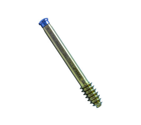 SHS / SCH Screw 22mm - Orthopaedic Implant Manufacturer