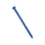 Cancellous Screw 6.5mm 32mm Threaded with Locking head (Self Tapping) I Orthopedic Implant