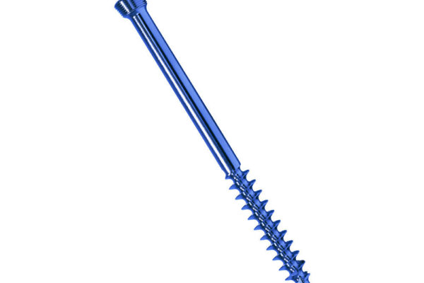 Cancellous Screw 6.5mm 32mm Threaded with Locking head (Self Tapping) I Orthopedic Implant