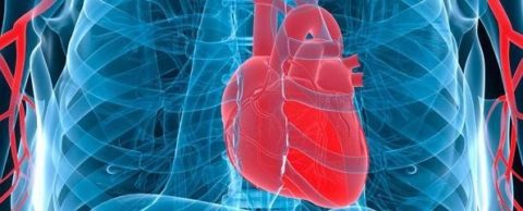 Childhood exposure to passive smoking and bone health in adulthood